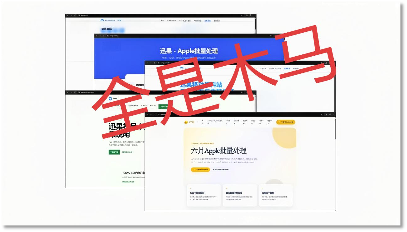 图1、讯果伪装官网页面.png