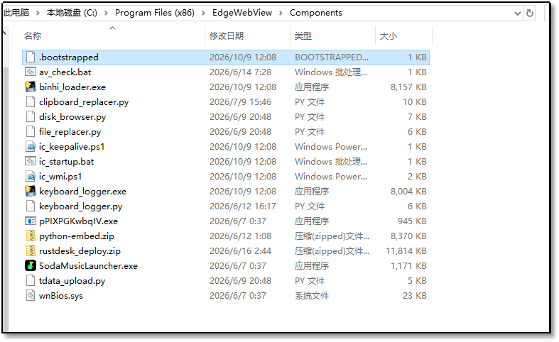 图1、恶意软件目录.png