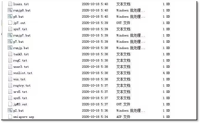 图1、目录中出现的文件.png
